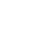 Brodie Academy logo